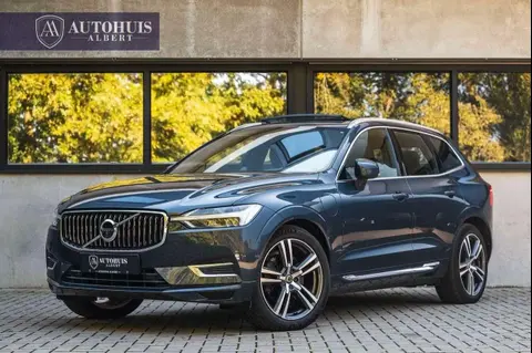 Annonce VOLVO XC60 Hybride 2020 d'occasion 