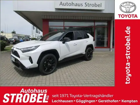 Used TOYOTA RAV4 Hybrid 2023 Ad 