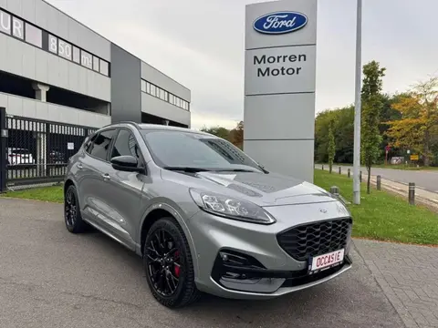 Annonce FORD KUGA Hybride 2024 d'occasion 