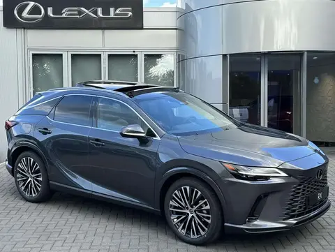 Annonce LEXUS RX Hybride 2024 d'occasion 