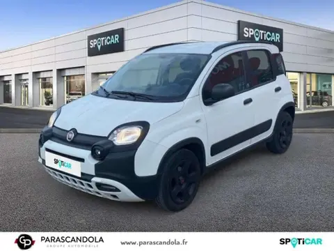 Annonce FIAT PANDA  2020 d'occasion 