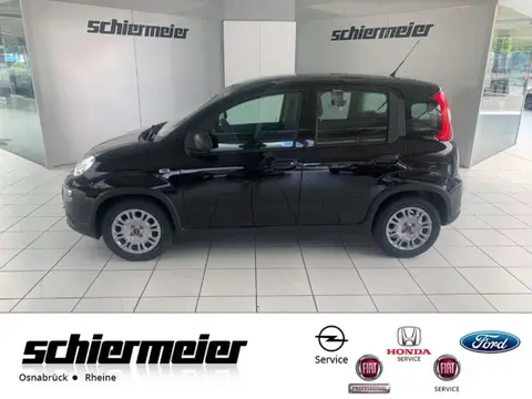 Used FIAT PANDA Petrol 2024 Ad 