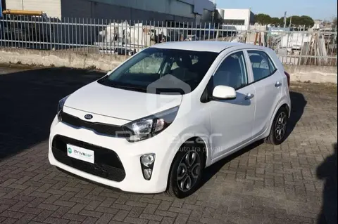 Used KIA PICANTO LPG 2019 Ad 