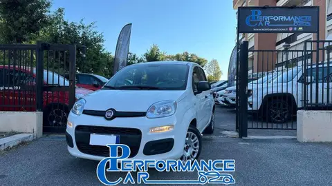 Used FIAT PANDA Petrol 2019 Ad 