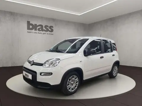 Used FIAT PANDA Petrol 2024 Ad 