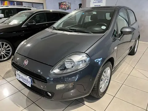 Used FIAT PUNTO Petrol 2015 Ad 