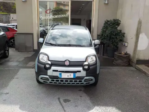 Annonce FIAT PANDA Hybride 2020 d'occasion 