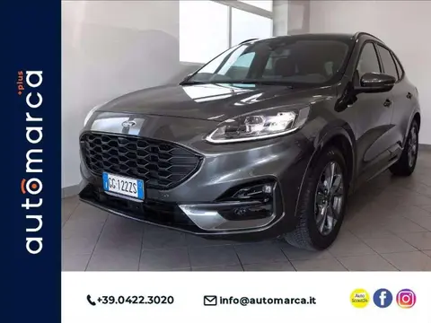 Annonce FORD KUGA Diesel 2021 d'occasion 