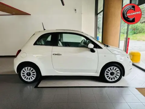 Used FIAT 500 Petrol 2019 Ad 