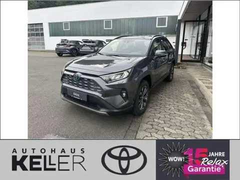 Used TOYOTA RAV4 Hybrid 2024 Ad 