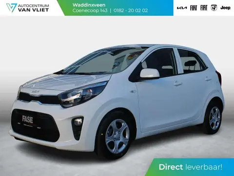 Annonce KIA PICANTO Essence 2024 d'occasion 