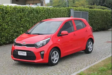 Annonce KIA PICANTO Essence 2021 d'occasion 