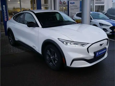 Annonce FORD MUSTANG Électrique 2023 d'occasion 