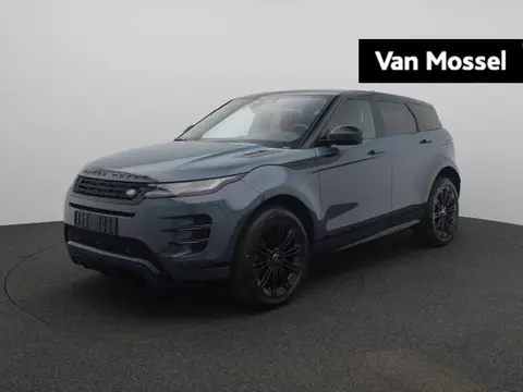 Used LAND ROVER RANGE ROVER EVOQUE Hybrid 2024 Ad 