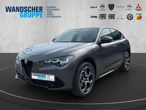 Used ALFA ROMEO STELVIO Petrol 2024 Ad 