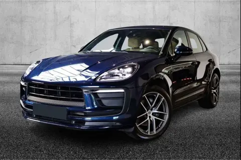 Used PORSCHE MACAN Petrol 2023 Ad 