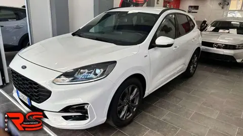 Annonce FORD KUGA Diesel 2021 d'occasion 