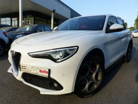 Used ALFA ROMEO STELVIO Diesel 2018 Ad 