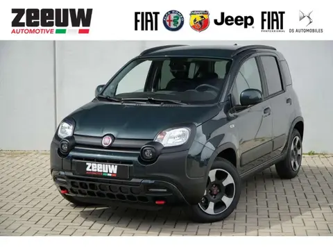 Annonce FIAT PANDA Essence 2024 d'occasion 