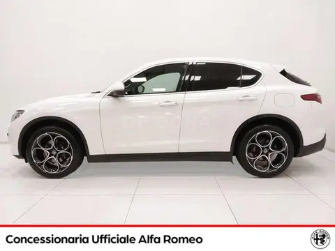 Used ALFA ROMEO STELVIO Diesel 2019 Ad 