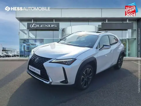 Annonce LEXUS UX Essence 2020 d'occasion 