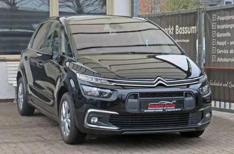 Annonce CITROEN C4 Essence 2019 d'occasion 