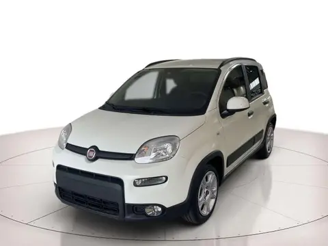 Annonce FIAT PANDA Hybride 2024 d'occasion 