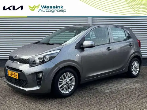 Used KIA PICANTO Petrol 2021 Ad 