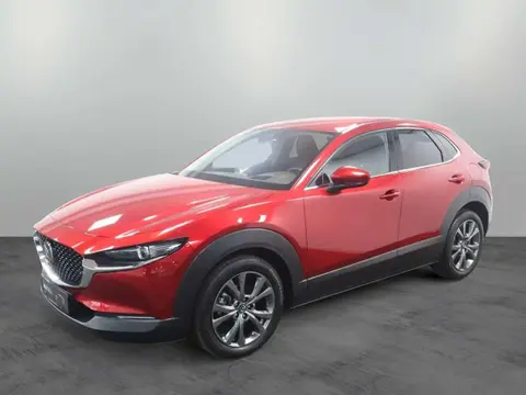 Annonce MAZDA CX-30 Essence 2021 d'occasion 