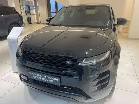 Annonce LAND ROVER RANGE ROVER EVOQUE Diesel 2023 d'occasion 