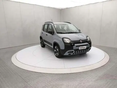 Used FIAT PANDA Hybrid 2020 Ad 