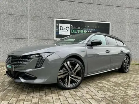 Annonce PEUGEOT 508 Hybride 2023 d'occasion 