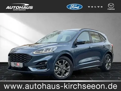 Used FORD KUGA Diesel 2023 Ad 