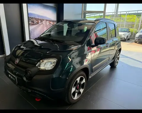 Used FIAT PANDA Hybrid 2023 Ad 