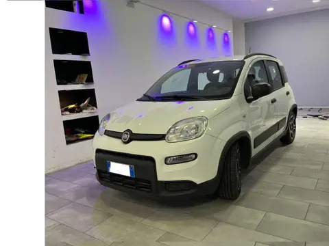 Used FIAT PANDA Hybrid 2022 Ad 