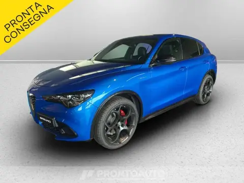 Annonce ALFA ROMEO STELVIO Diesel 2024 d'occasion 