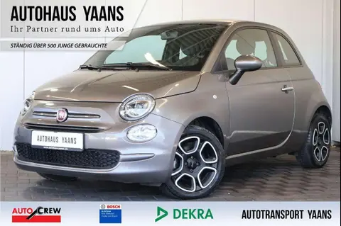 Used FIAT 500 Petrol 2022 Ad 