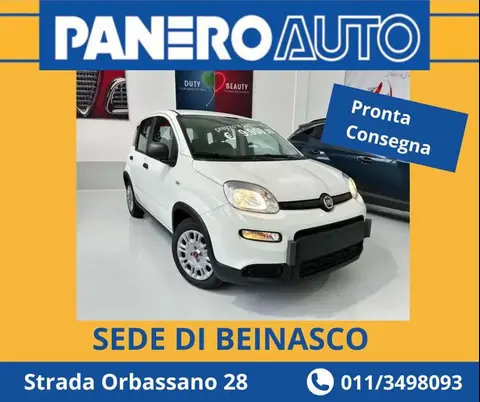 Used FIAT PANDA Hybrid 2023 Ad 