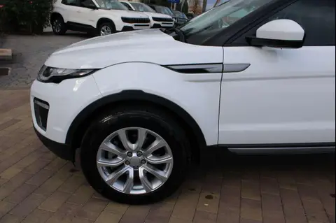 Annonce LAND ROVER RANGE ROVER EVOQUE Diesel 2017 d'occasion 