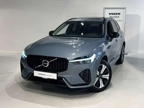 Annonce VOLVO XC60 Hybride 2023 d'occasion Belgique