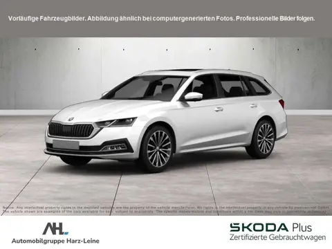 Used SKODA OCTAVIA Petrol 2024 Ad 