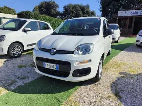 Used FIAT PANDA Petrol 2019 Ad 