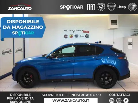 Annonce ALFA ROMEO STELVIO Diesel 2024 d'occasion 