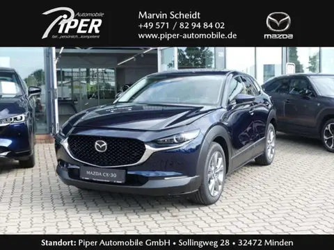 Used MAZDA CX-30 Petrol 2024 Ad Germany