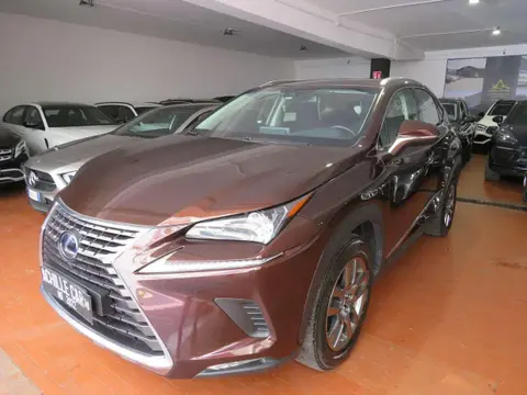 Used LEXUS NX Hybrid 2018 Ad 