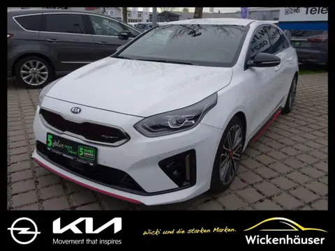 Used KIA PROCEED Petrol 2024 Ad 