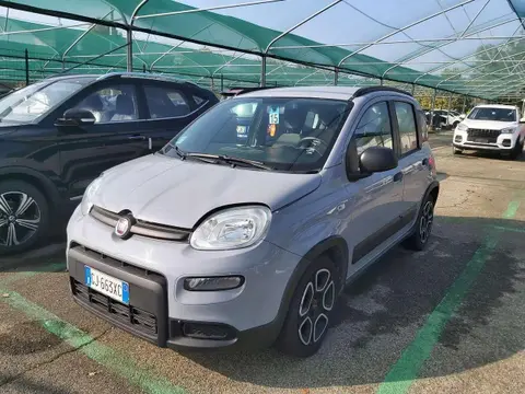 Used FIAT PANDA Hybrid 2022 Ad 