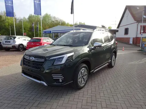 Annonce SUBARU FORESTER Hybride 2024 d'occasion 