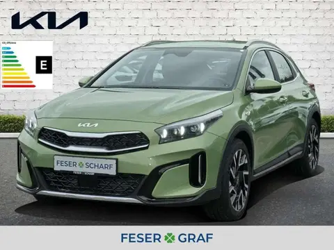 Used KIA XCEED Petrol 2024 Ad 