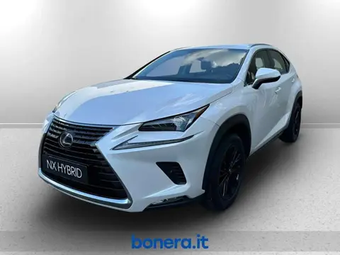 Used LEXUS NX Hybrid 2021 Ad 